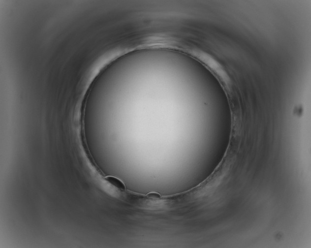 X0000102011431200807251258