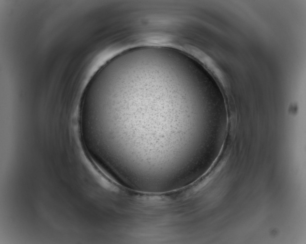 X0000102011432200807251258
