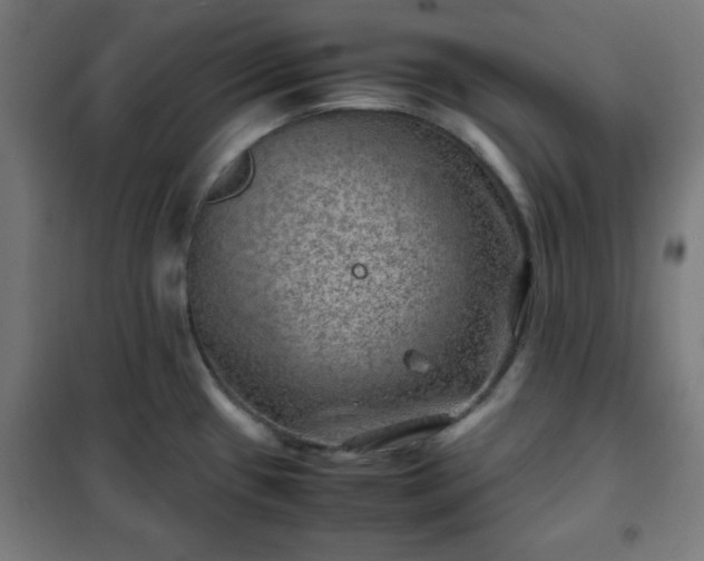 X0000102011433200807251258