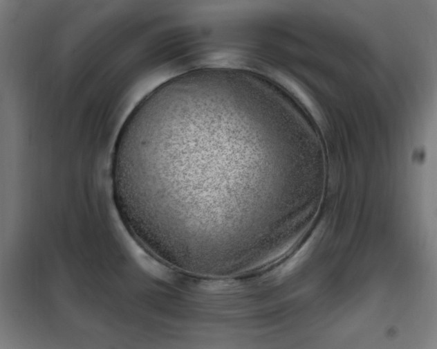 X0000102011434200807251258