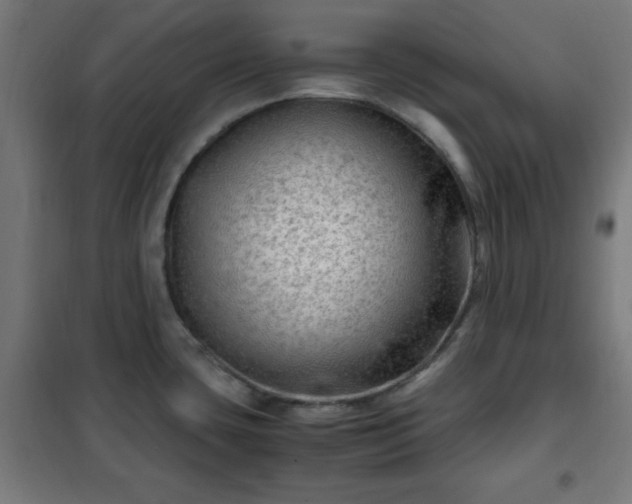 X0000102011435200807251258