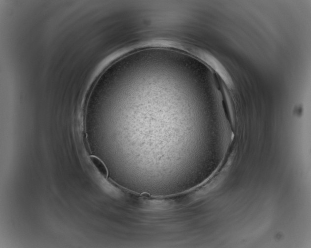 X0000102011436200807251258