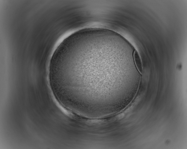 X0000102011437200807251258