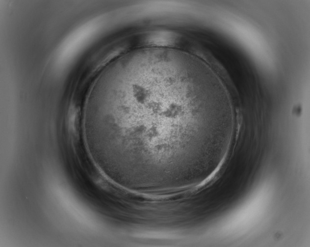 X0000102011438200807251258