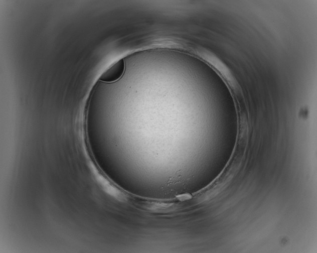 X0000102011439200807251258