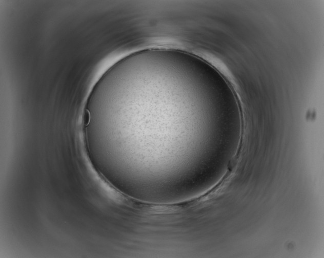 X0000102011440200807251258