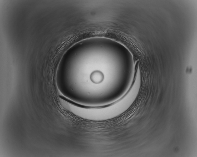 X0000102011441200807251257
