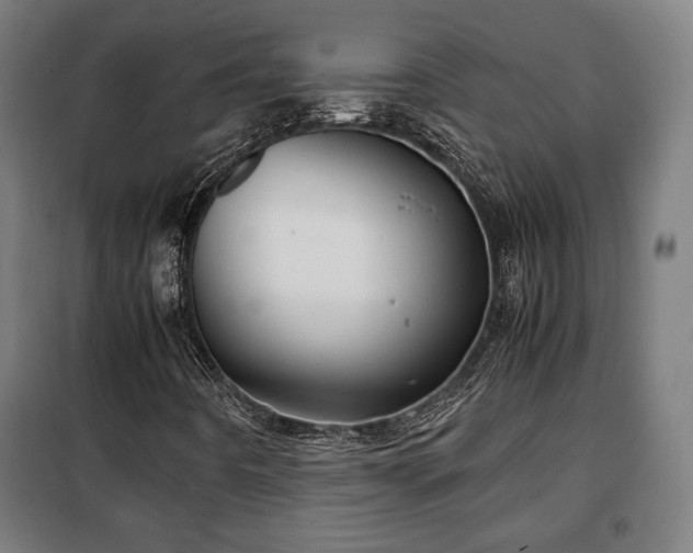 X0000102011442200807251257
