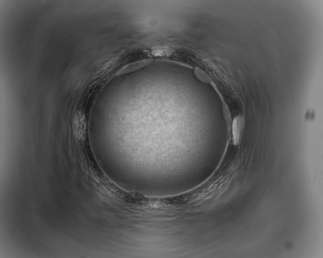 X0000102011443200807251257
