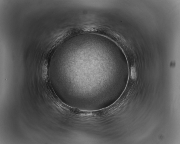 X0000102011444200807251257
