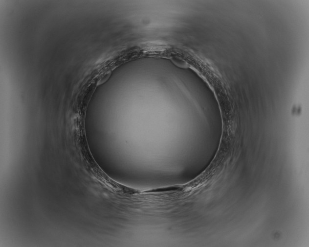 X0000102011445200807251257