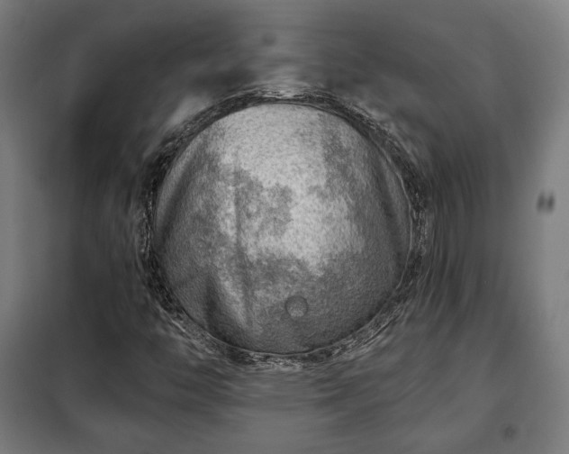 X0000102011446200807251257