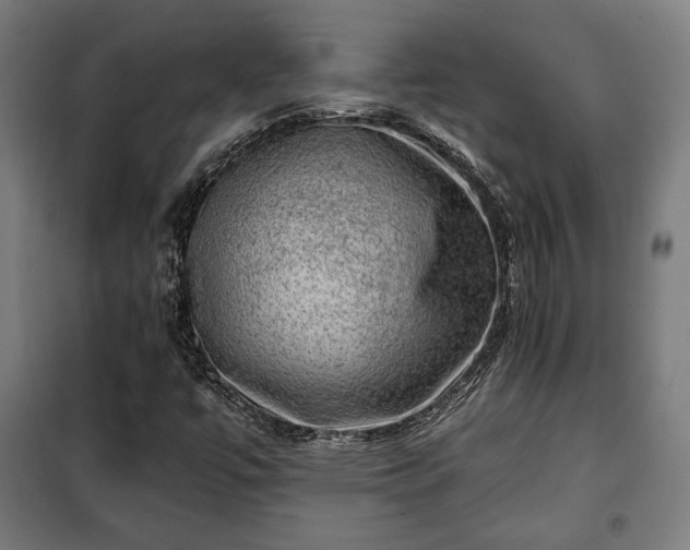 X0000102011447200807251257