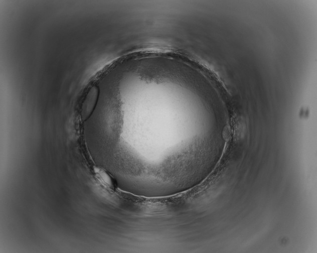 X0000102011448200807251257