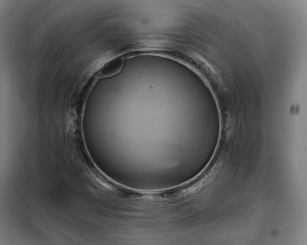 X0000102011449200807251257