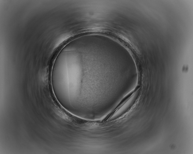 X0000102011450200807251257