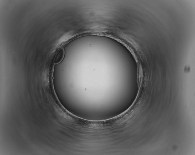 X0000102011451200807251257
