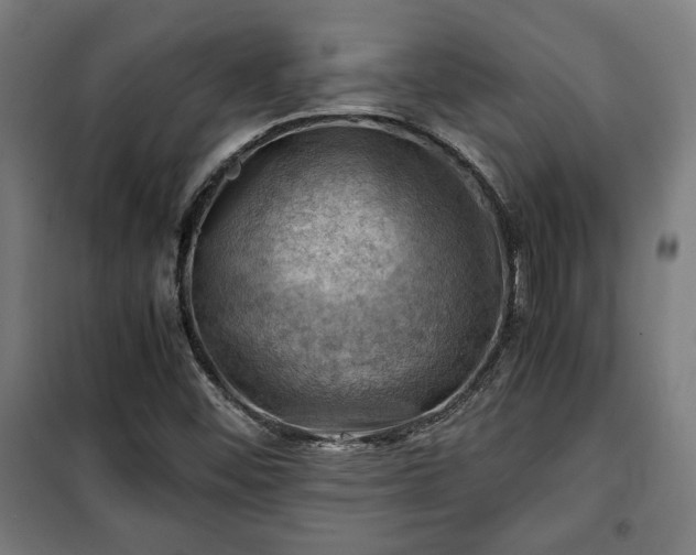 X0000102011452200807251257