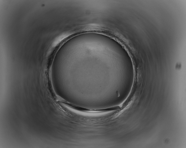 X0000102011453200807251257