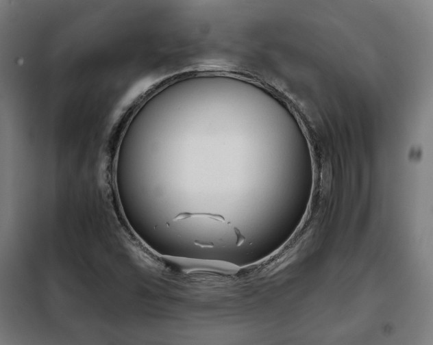 X0000102011454200807251257