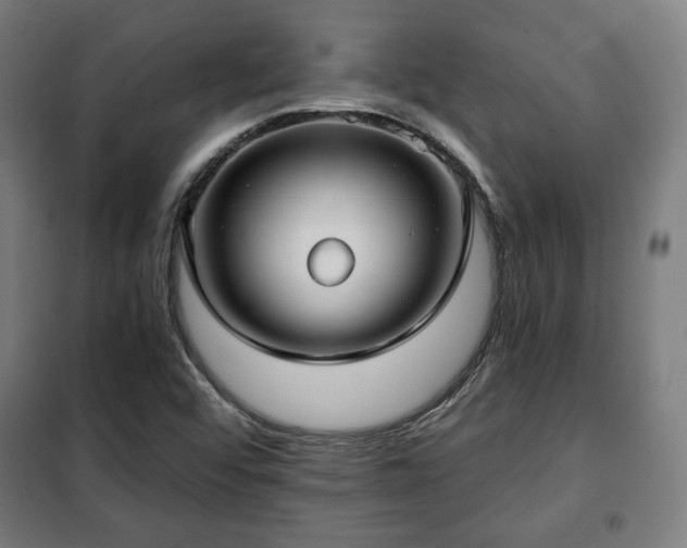 X0000102011456200807251257