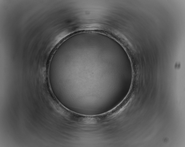 X0000102011457200807251257