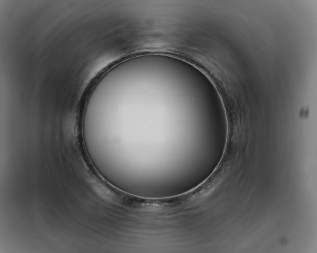 X0000102011458200807251257