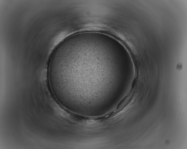 X0000102011459200807251257