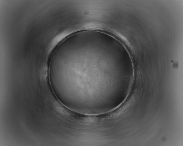 X0000102011461200807251257