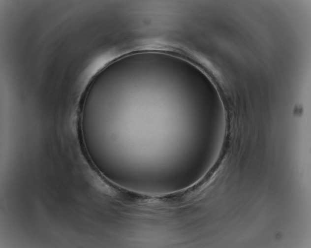 X0000102011463200807251256