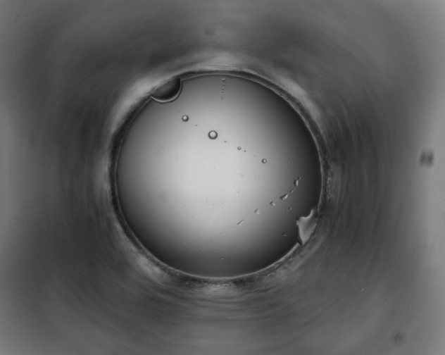X0000102011464200807251256