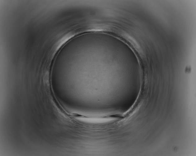 X0000102011465200807251256