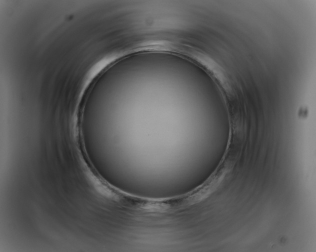 X0000102011466200807251256