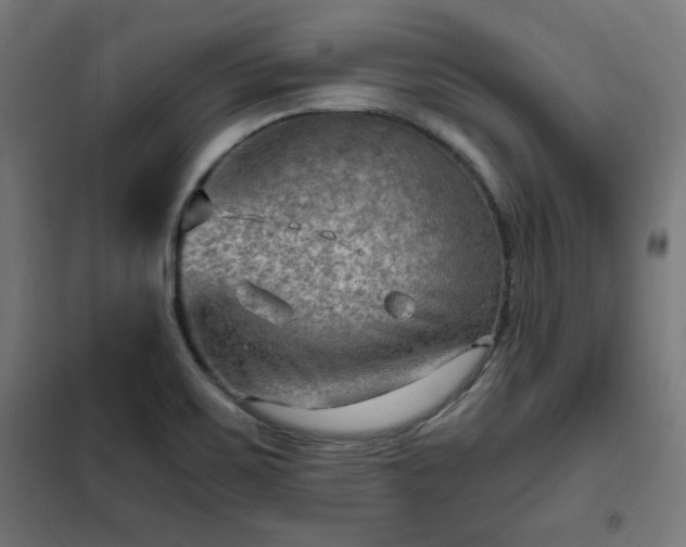 X0000102011467200807251256