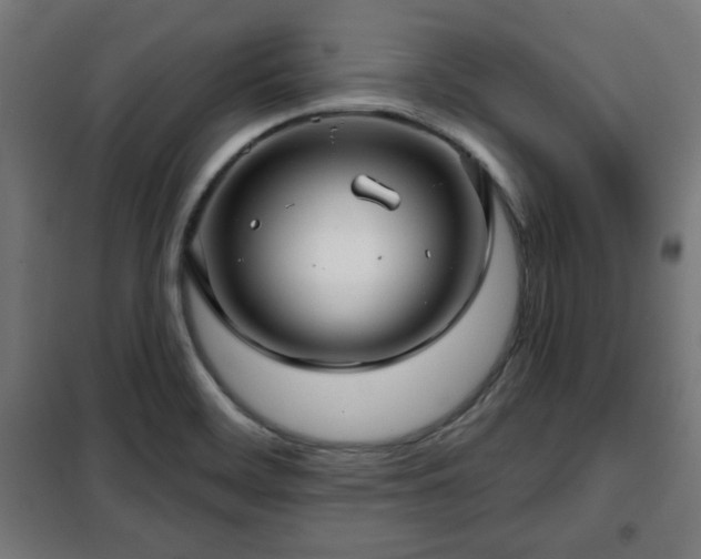 X0000102011468200807251256
