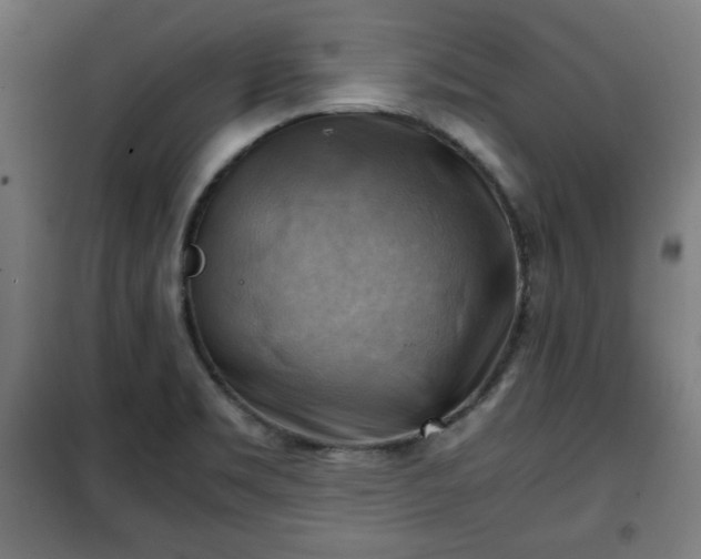 X0000102011469200807251256