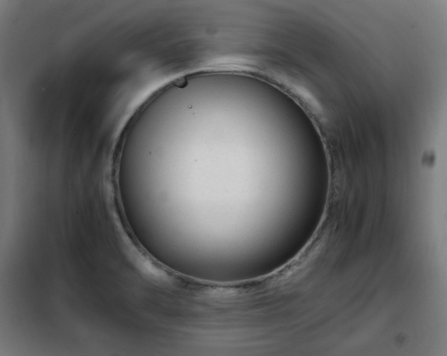 X0000102011470200807251256