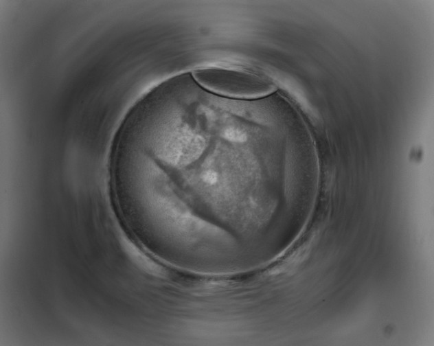 X0000102011471200807251256