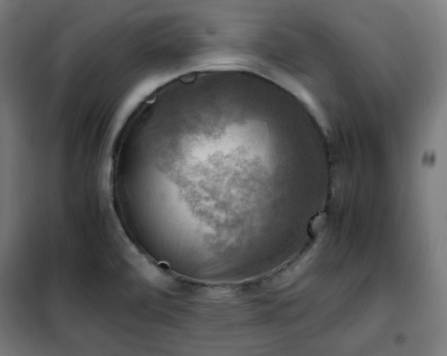 X0000102011472200807251256