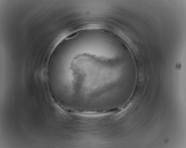 X0000102011473200807251256