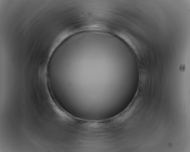 X0000102011474200807251256