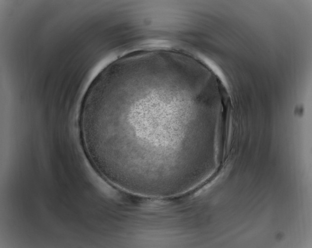 X0000102011475200807251256