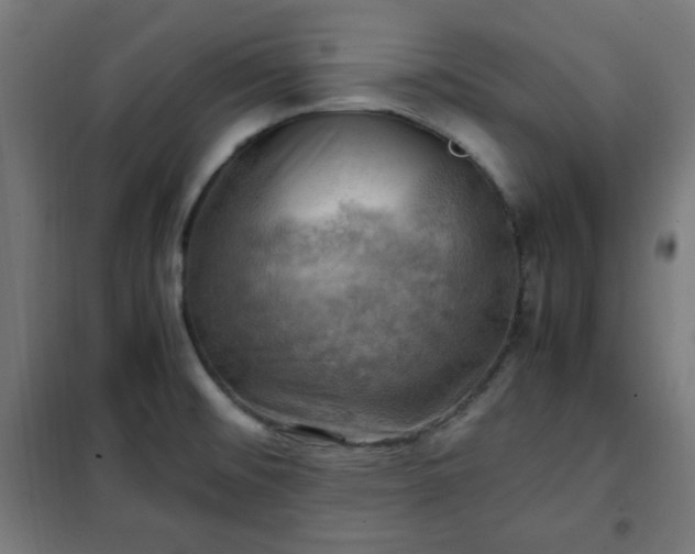 X0000102011476200807251256