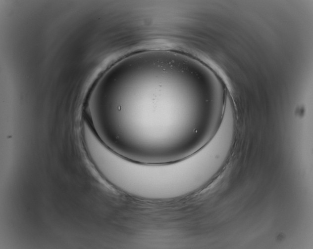 X0000102011477200807251256