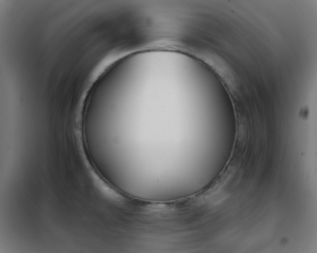 X0000102011478200807251256