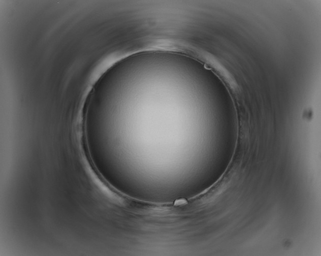 X0000102011479200807251256