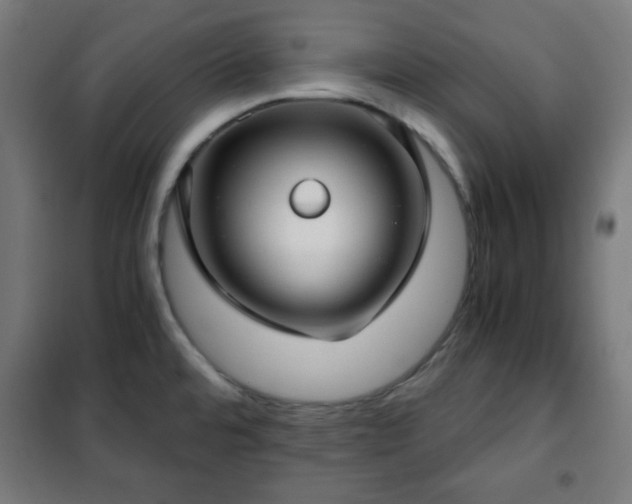 X0000102011480200807251256