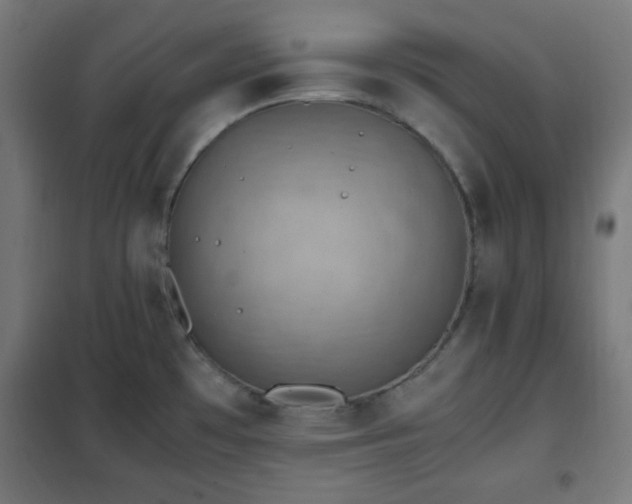 X0000102011481200807251256