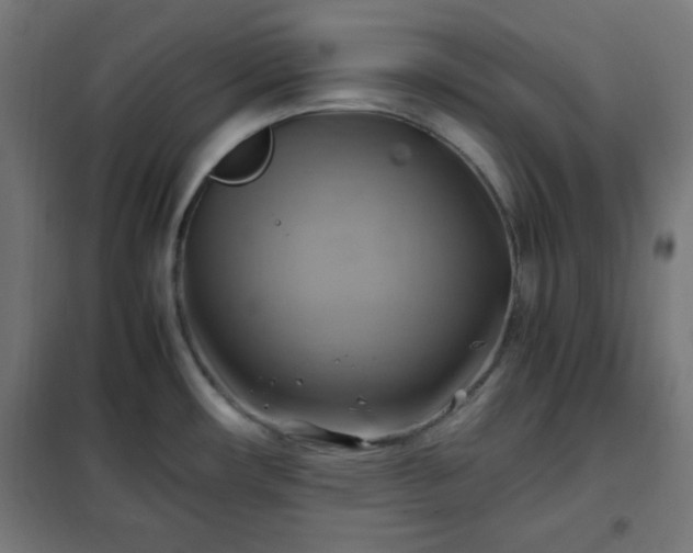 X0000102011482200807251256