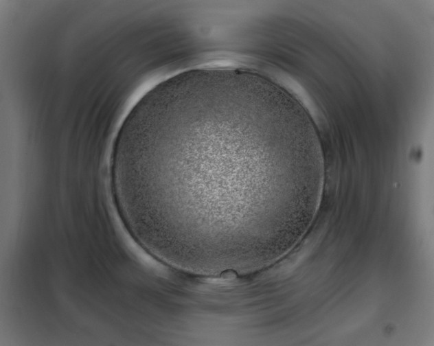 X0000102011483200807251256